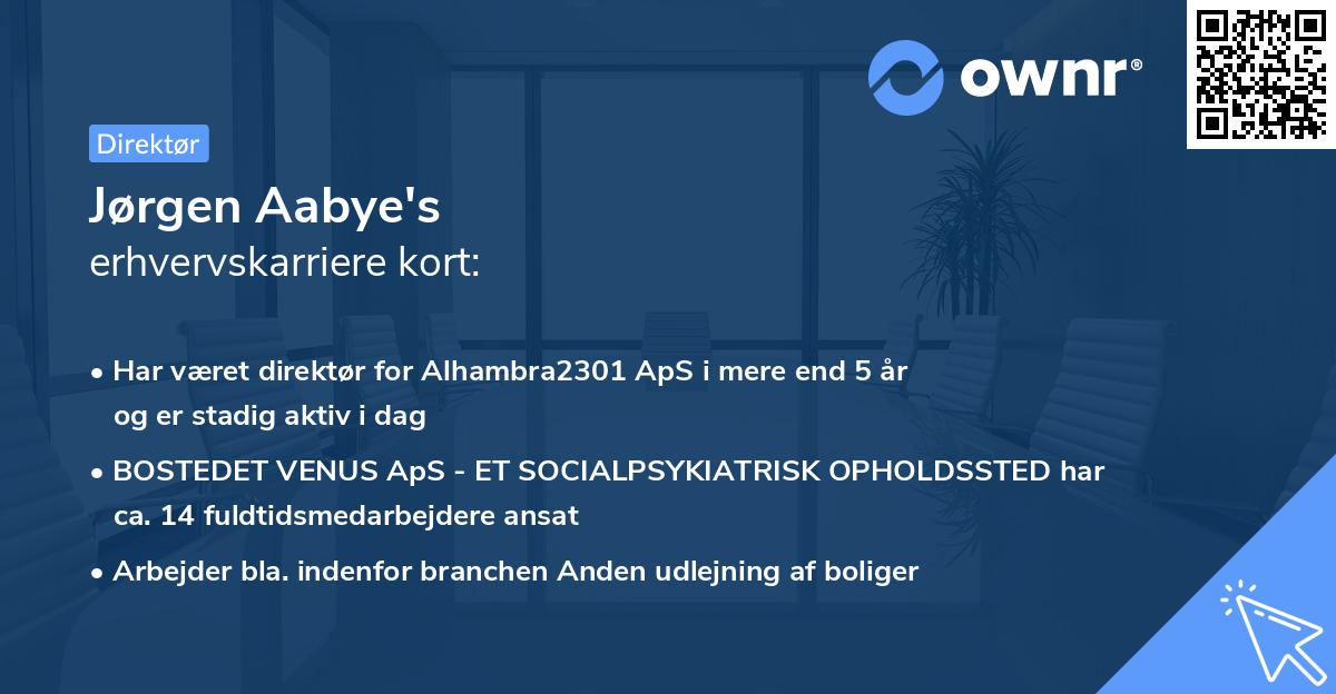 Jørgen Aabye's erhvervskarriere kort