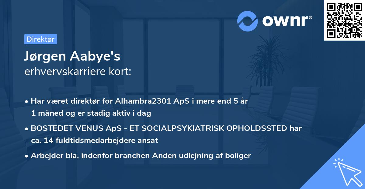 Jørgen Aabye's erhvervskarriere kort