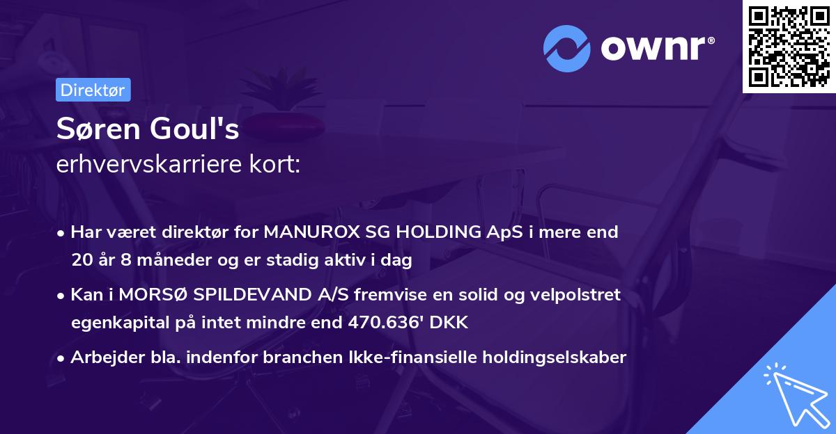 Søren Goul's erhvervskarriere kort