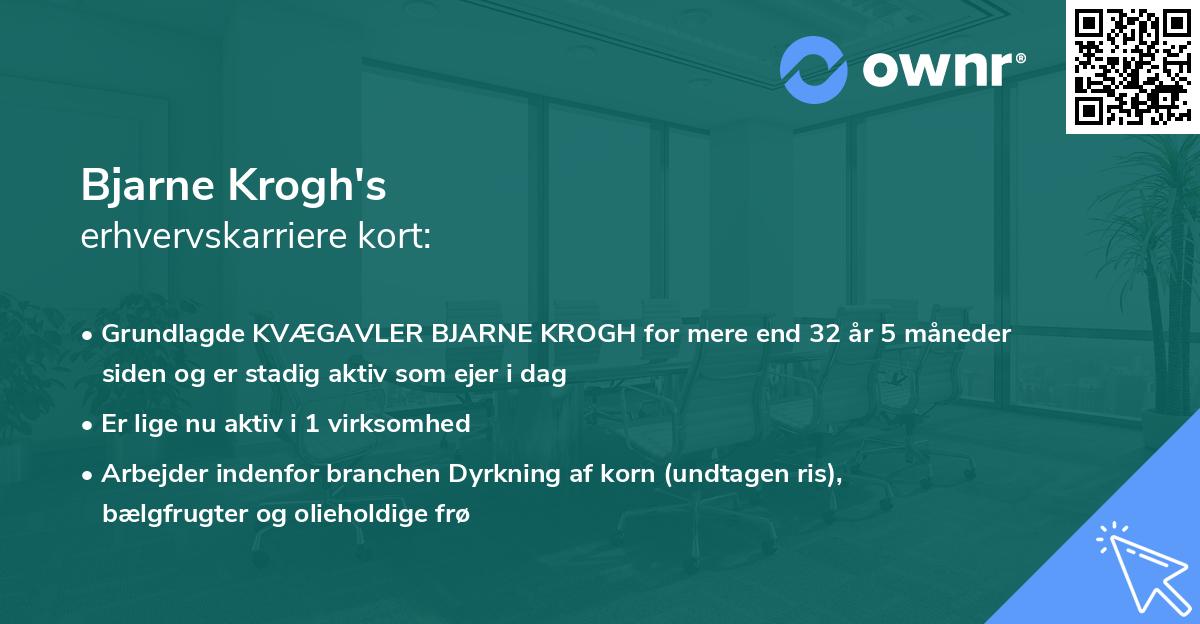 Bjarne Krogh's erhvervskarriere kort