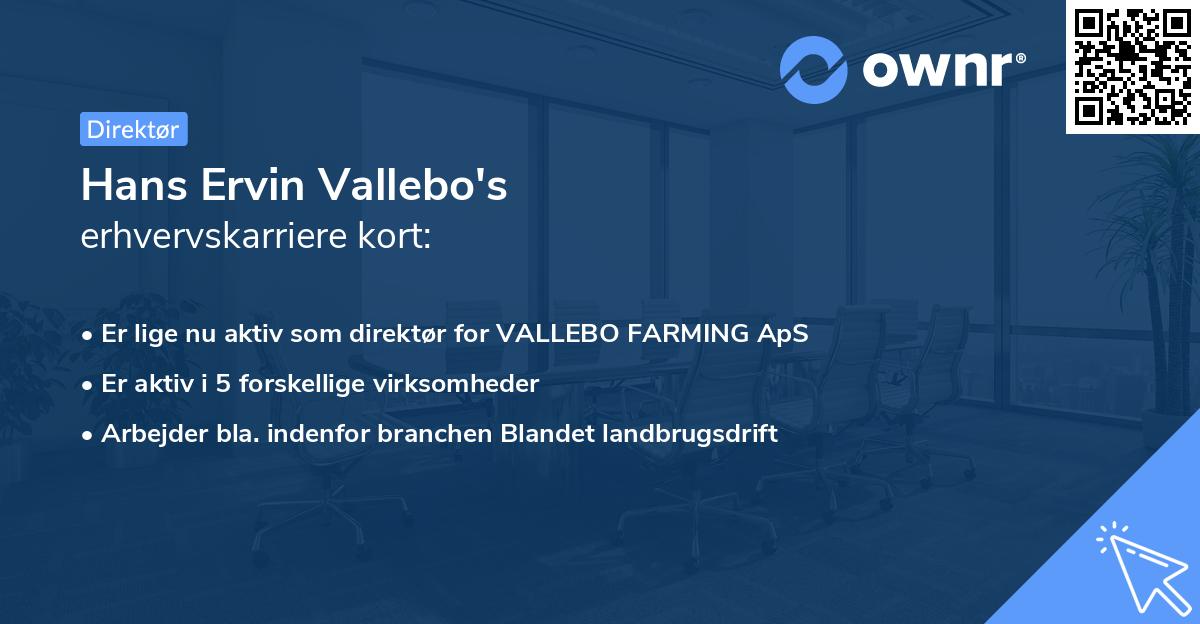Hans Ervin Vallebo's erhvervskarriere kort