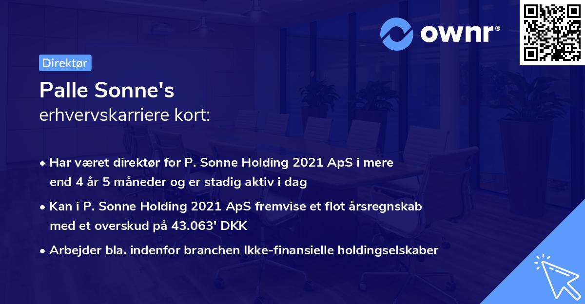 Palle Sonne's erhvervskarriere kort