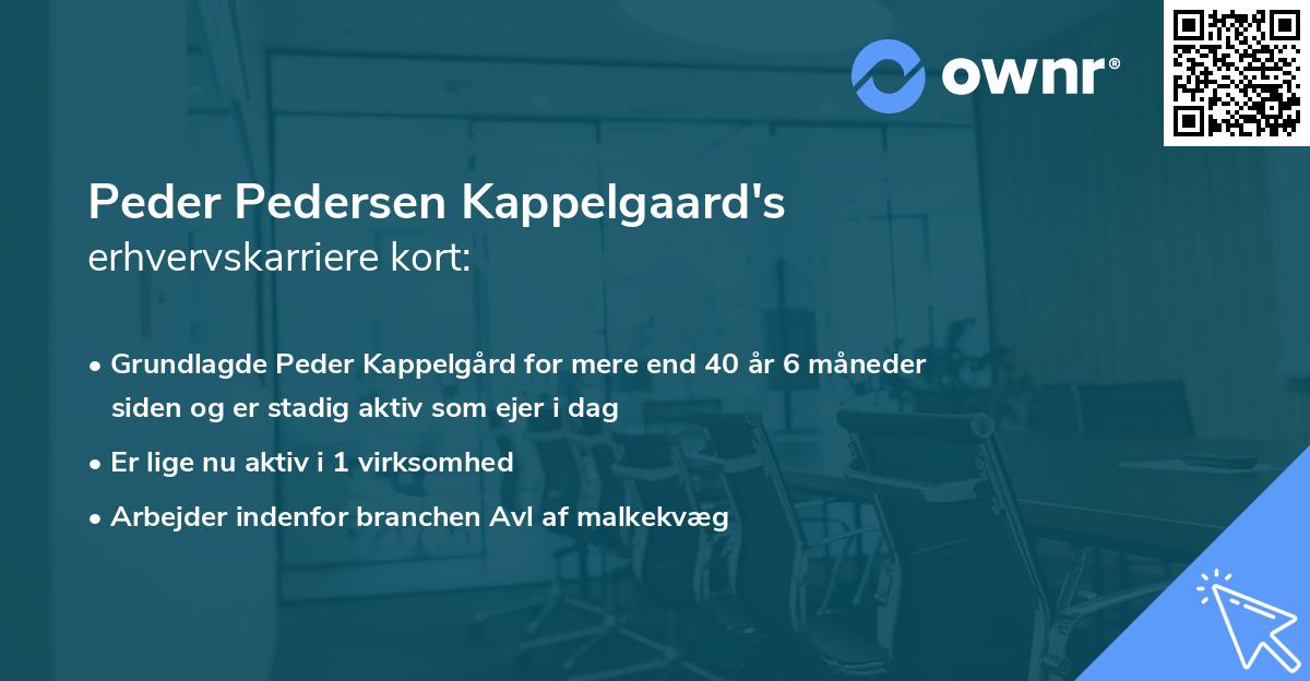 Peder Pedersen Kappelgaard's erhvervskarriere kort