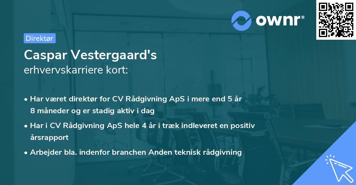 Caspar Vestergaard's erhvervskarriere kort