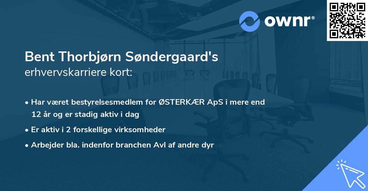 Bent Thorbjørn Søndergaard's erhvervskarriere kort