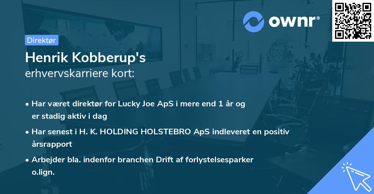 Henrik Kobberup's erhvervskarriere kort