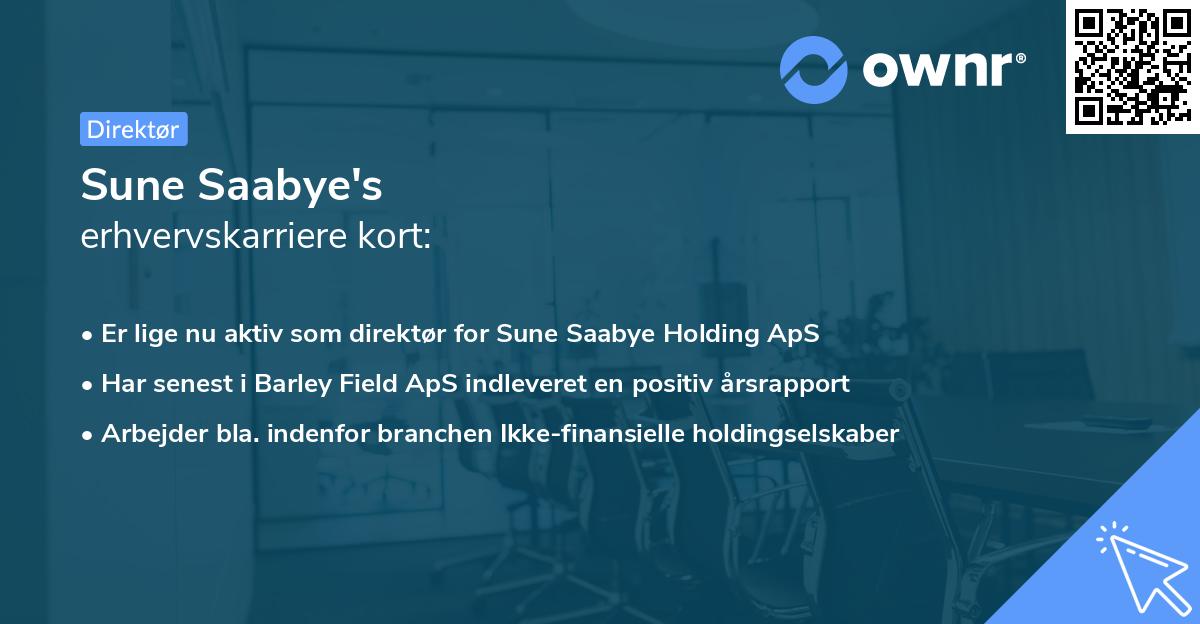 Sune Saabye's erhvervskarriere kort