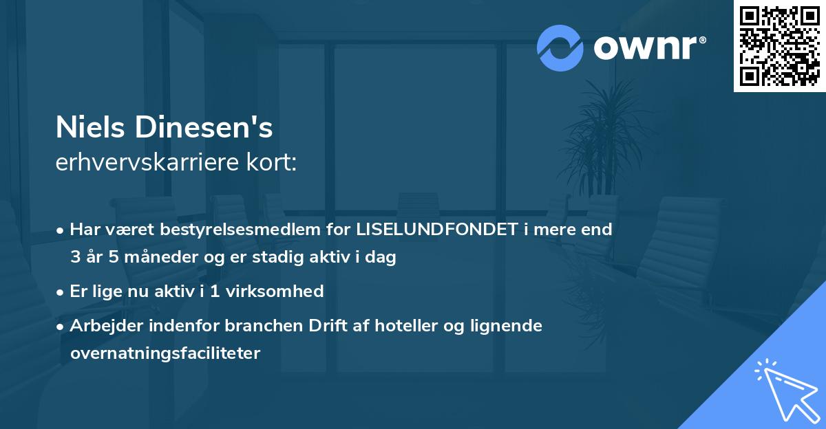 Niels Dinesen's erhvervskarriere kort