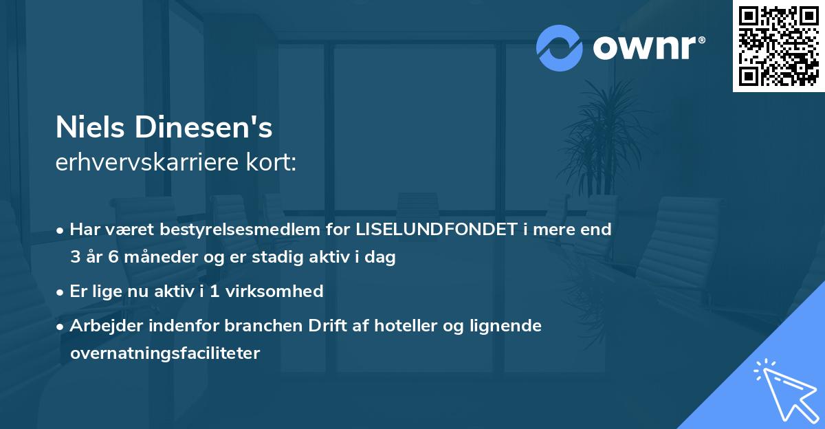 Niels Dinesen's erhvervskarriere kort