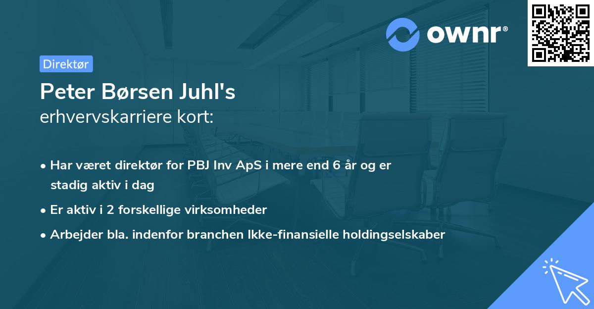 Peter Børsen Juhl's erhvervskarriere kort
