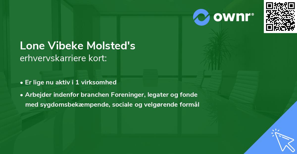 Lone Vibeke Molsted's erhvervskarriere kort