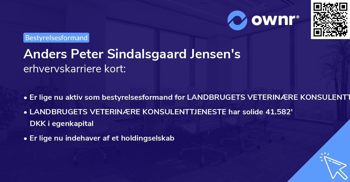 Anders Peter Sindalsgaard Jensen's erhvervskarriere kort