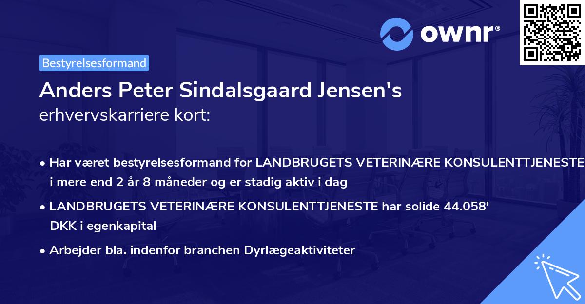 Anders Peter Sindalsgaard Jensen's erhvervskarriere kort