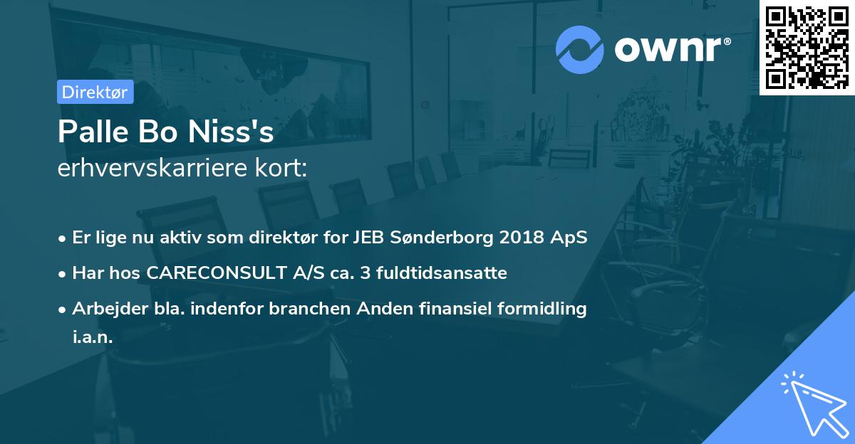 Palle Bo Niss's erhvervskarriere kort