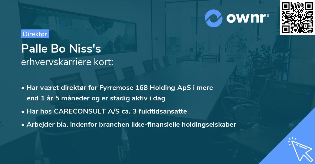 Palle Bo Niss's erhvervskarriere kort
