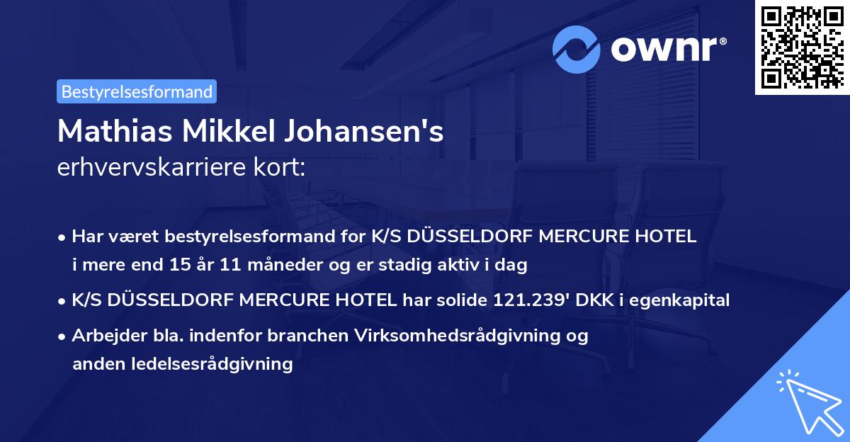 Mathias Mikkel Johansen's erhvervskarriere kort