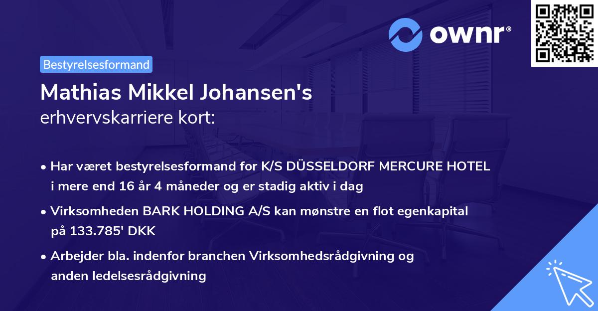 Mathias Mikkel Johansen's erhvervskarriere kort