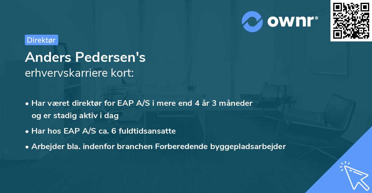 Anders Pedersen's erhvervskarriere kort