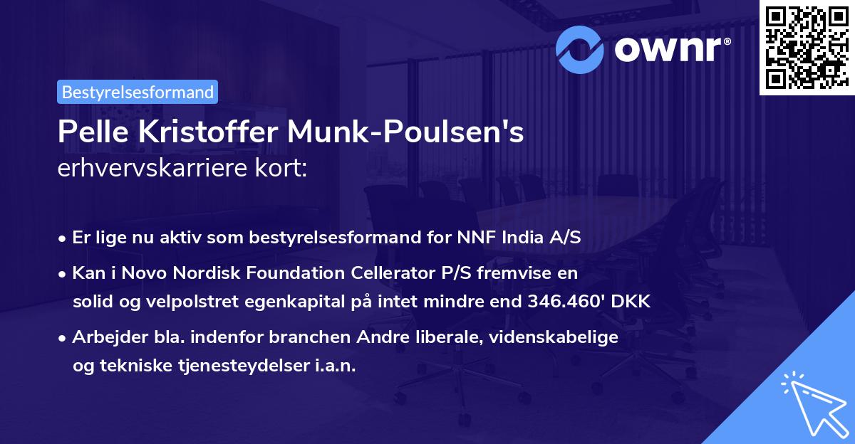 Pelle Kristoffer Munk-Poulsen's erhvervskarriere kort
