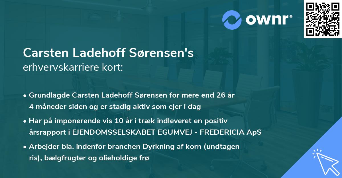 Carsten Ladehoff Sørensen's erhvervskarriere kort