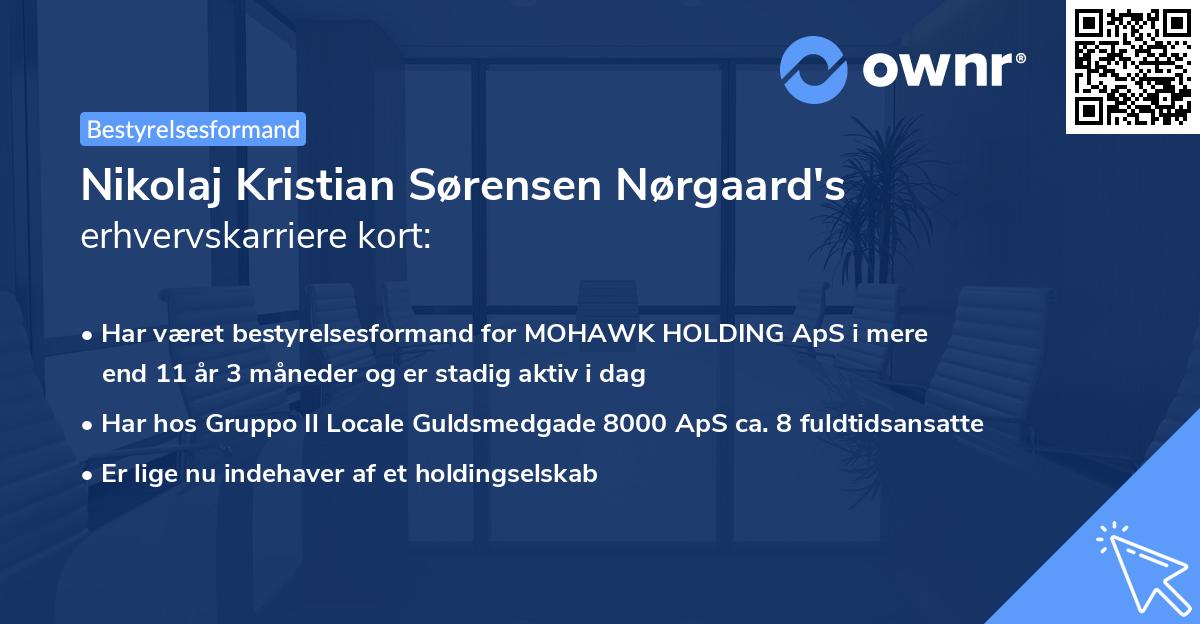 Nikolaj Kristian Sørensen Nørgaard's erhvervskarriere kort