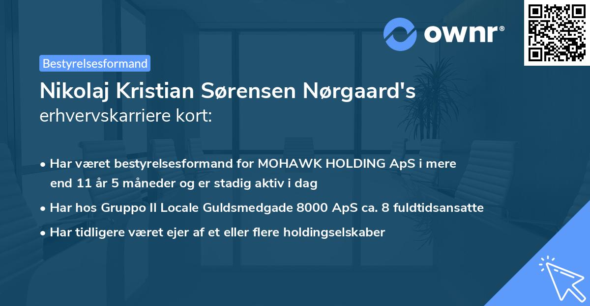 Nikolaj Kristian Sørensen Nørgaard's erhvervskarriere kort