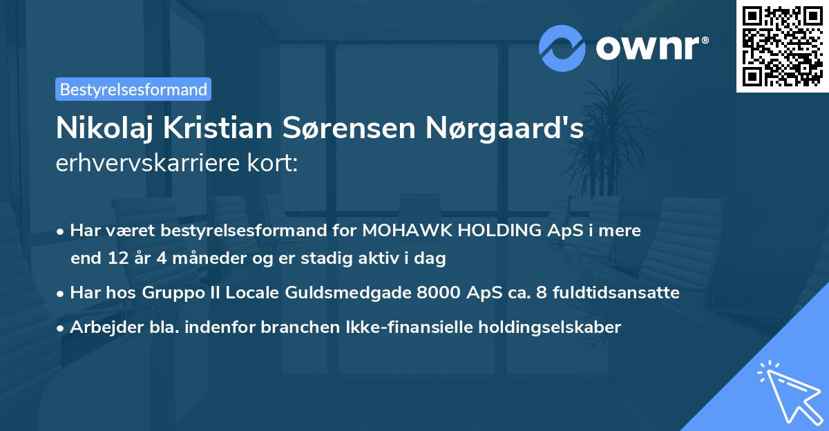 Nikolaj Kristian Sørensen Nørgaard's erhvervskarriere kort