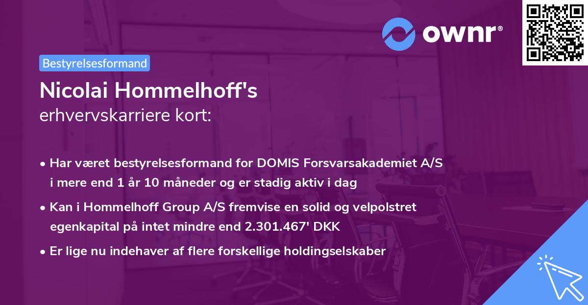 Nicolai Hommelhoff's erhvervskarriere kort