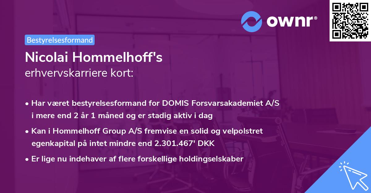 Nicolai Hommelhoff's erhvervskarriere kort