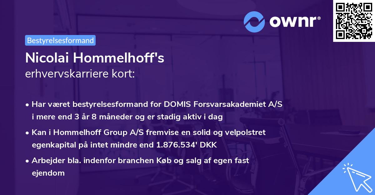Nicolai Hommelhoff's erhvervskarriere kort