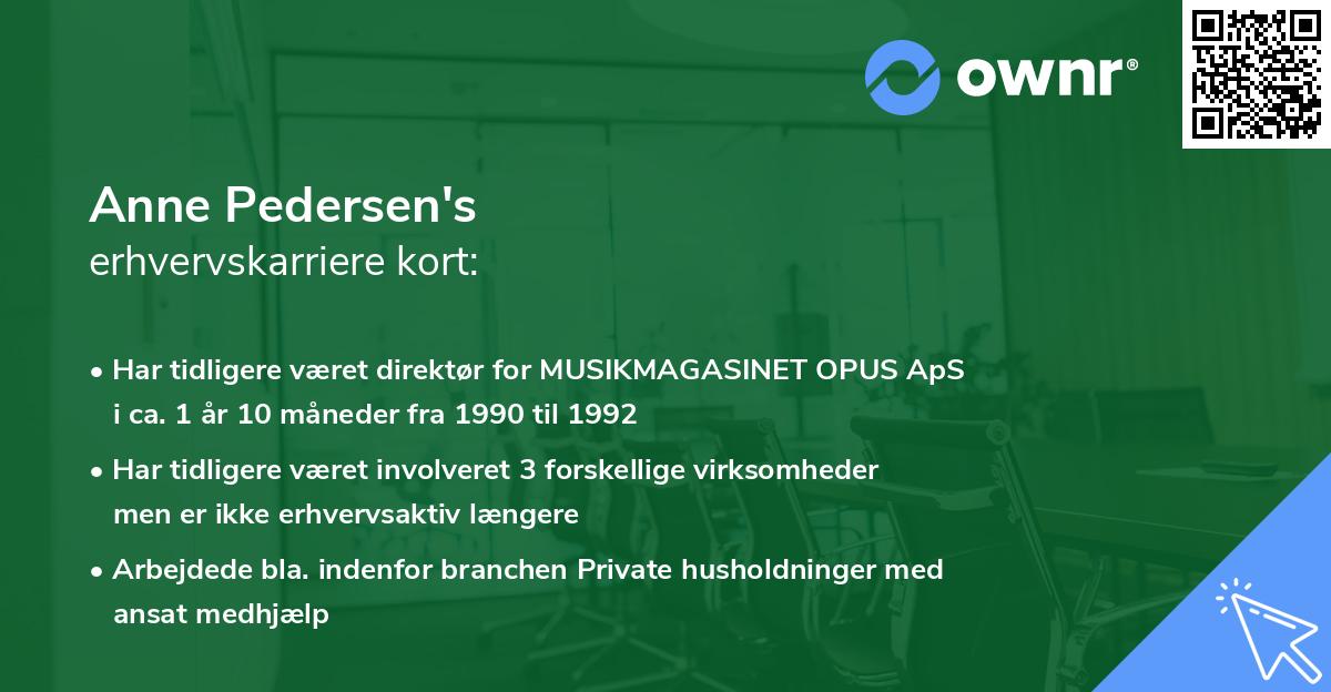 Anne Pedersen's erhvervskarriere kort