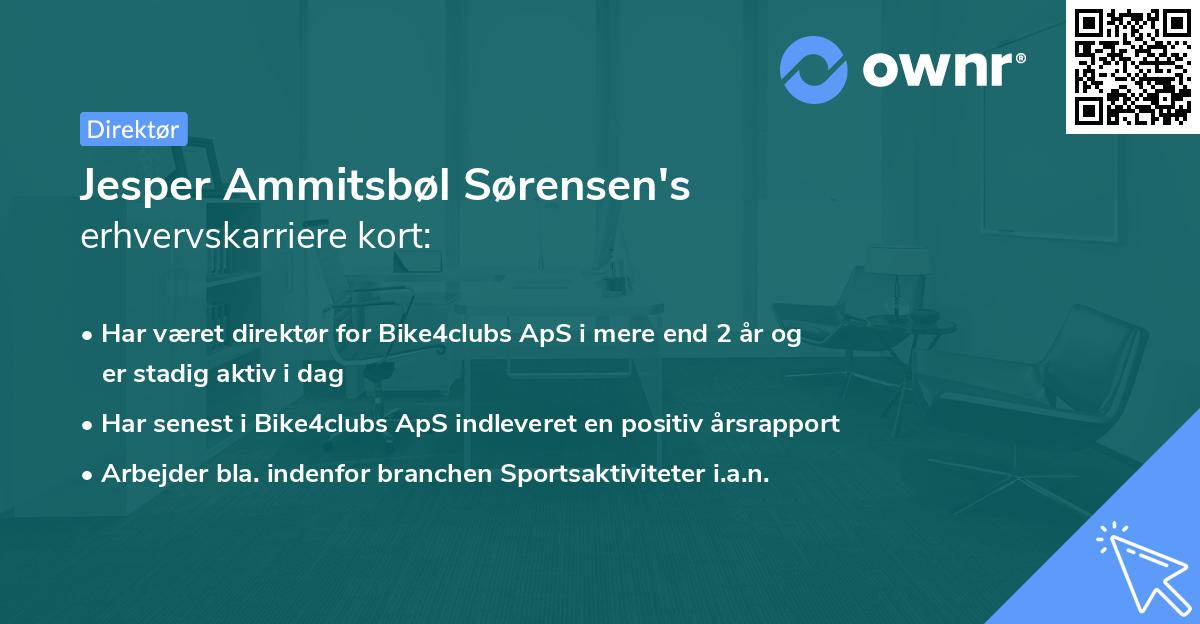 Jesper Ammitsbøl Sørensen's erhvervskarriere kort