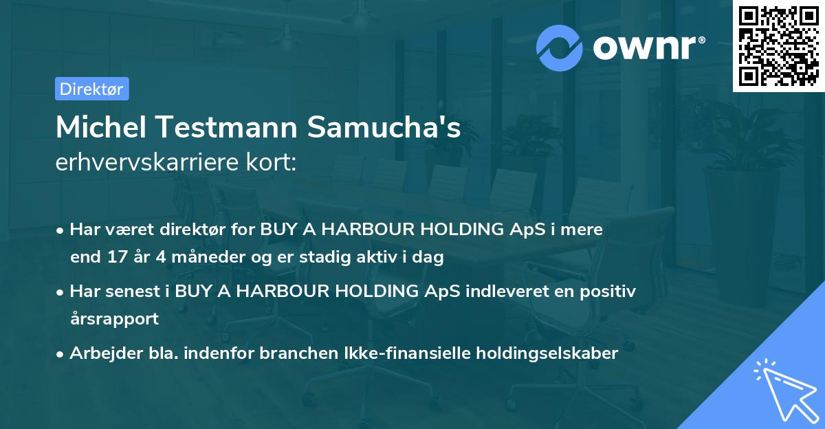 Michel Testmann Samucha's erhvervskarriere kort