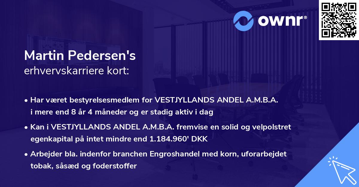 Martin Pedersen's erhvervskarriere kort