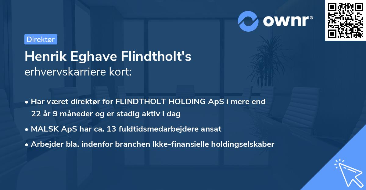 Henrik Eghave Flindtholt's erhvervskarriere kort