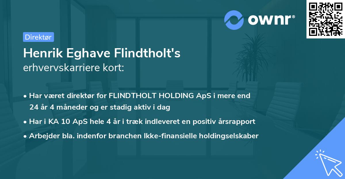 Henrik Eghave Flindtholt's erhvervskarriere kort
