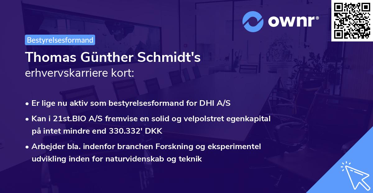 Thomas Günther Schmidt's erhvervskarriere kort