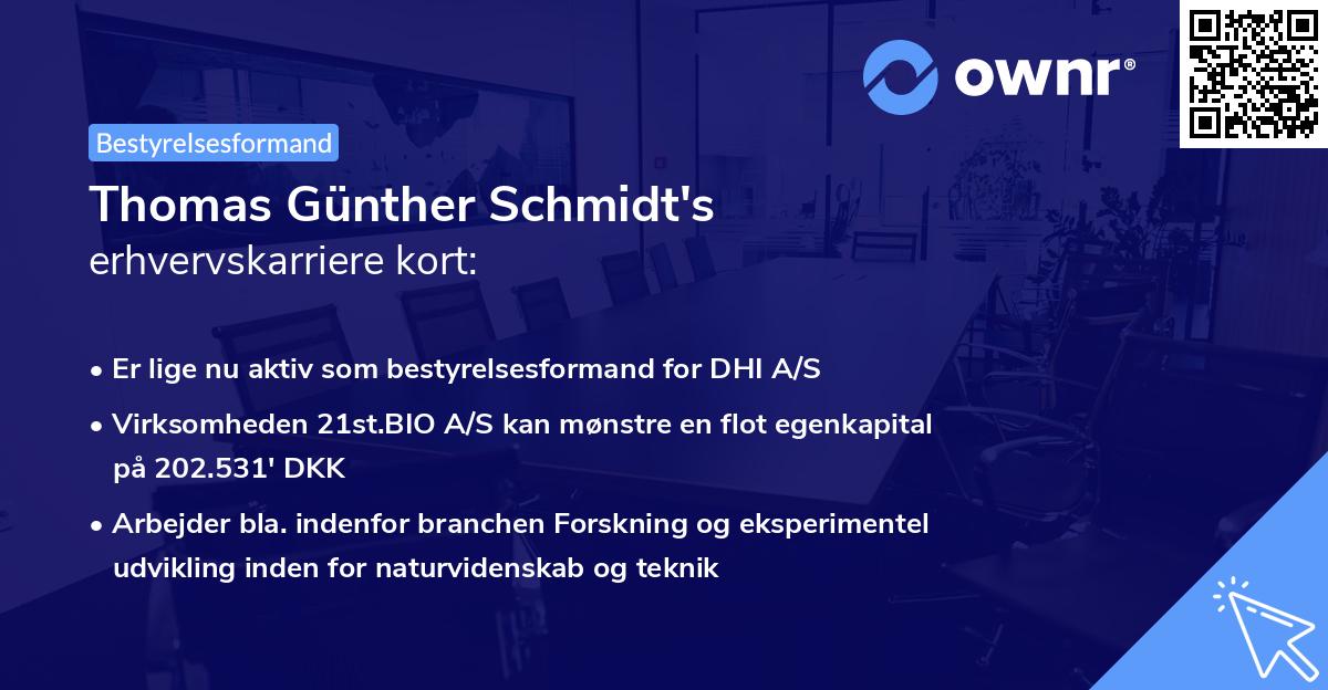 Thomas Günther Schmidt's erhvervskarriere kort