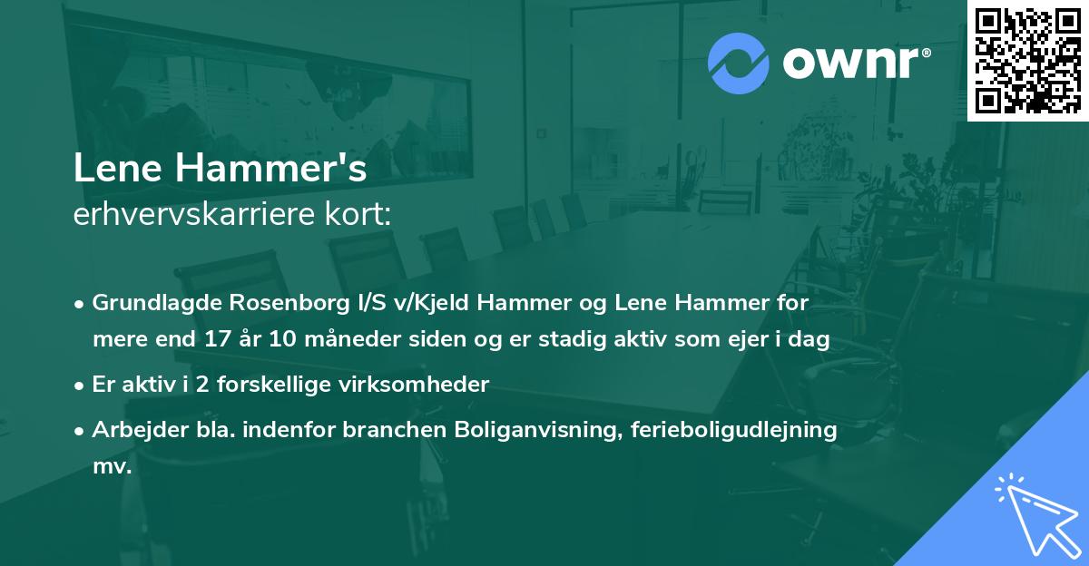 Lene Hammer's erhvervskarriere kort