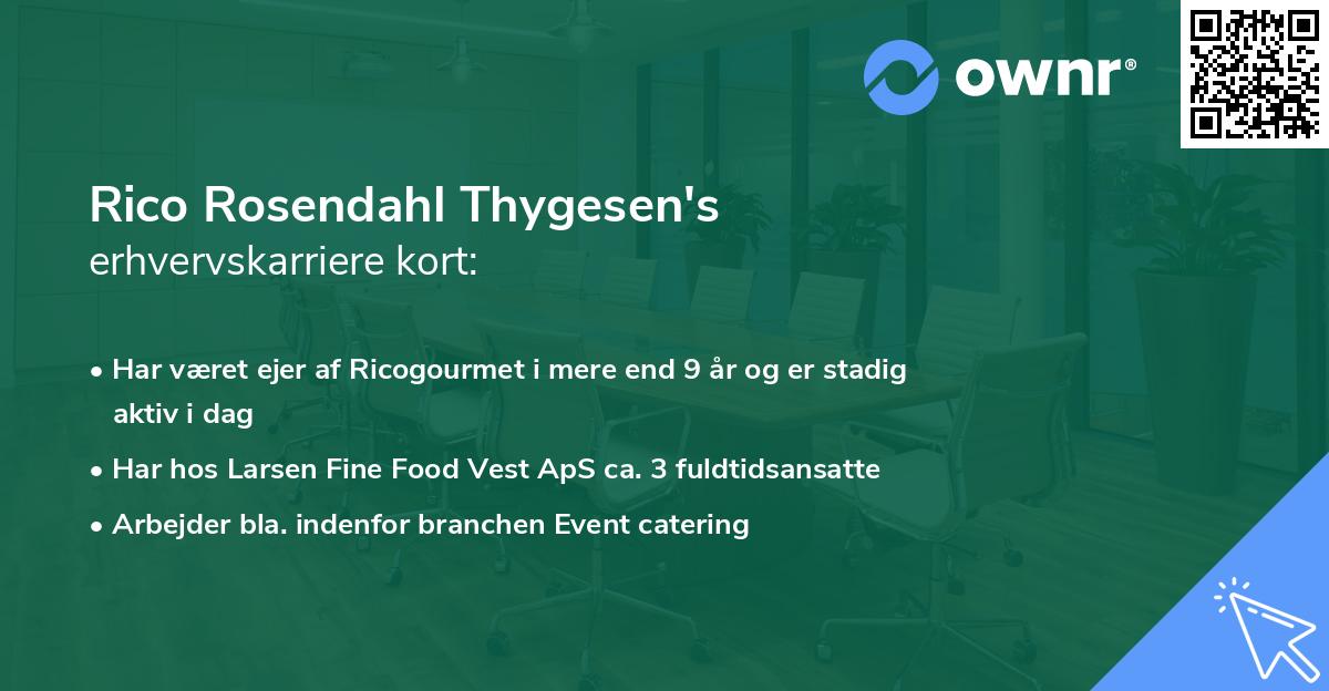 Rico Rosendahl Thygesen's erhvervskarriere kort