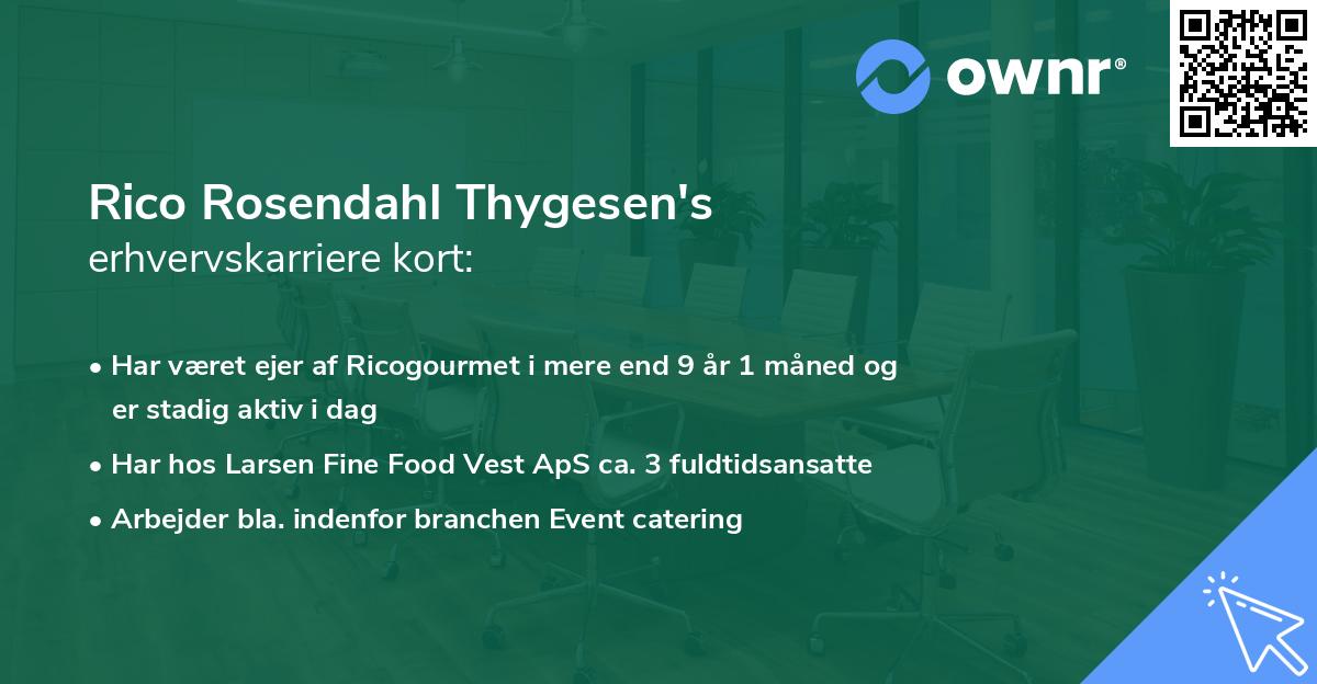 Rico Rosendahl Thygesen's erhvervskarriere kort