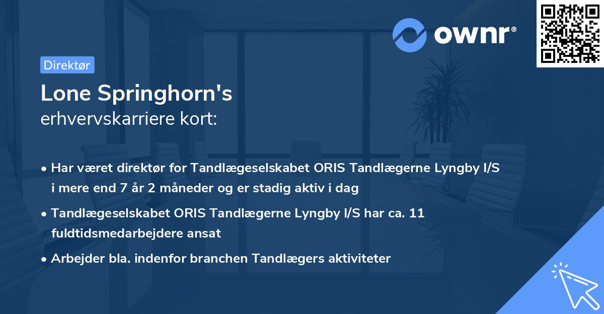 Lone Springhorn's erhvervskarriere kort