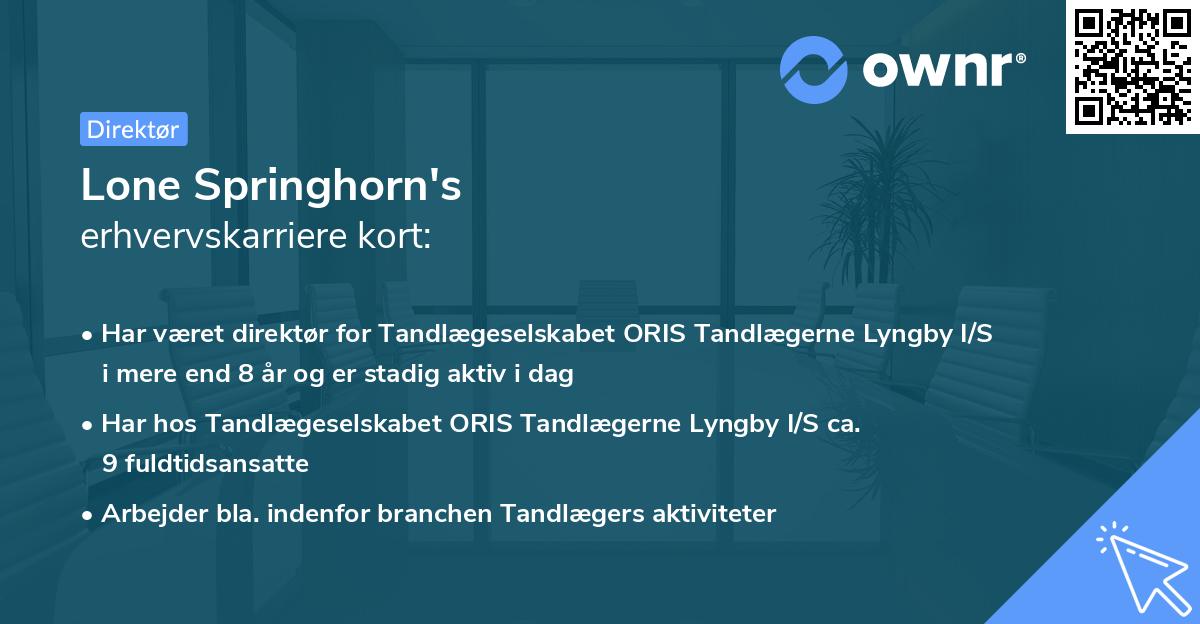 Lone Springhorn's erhvervskarriere kort