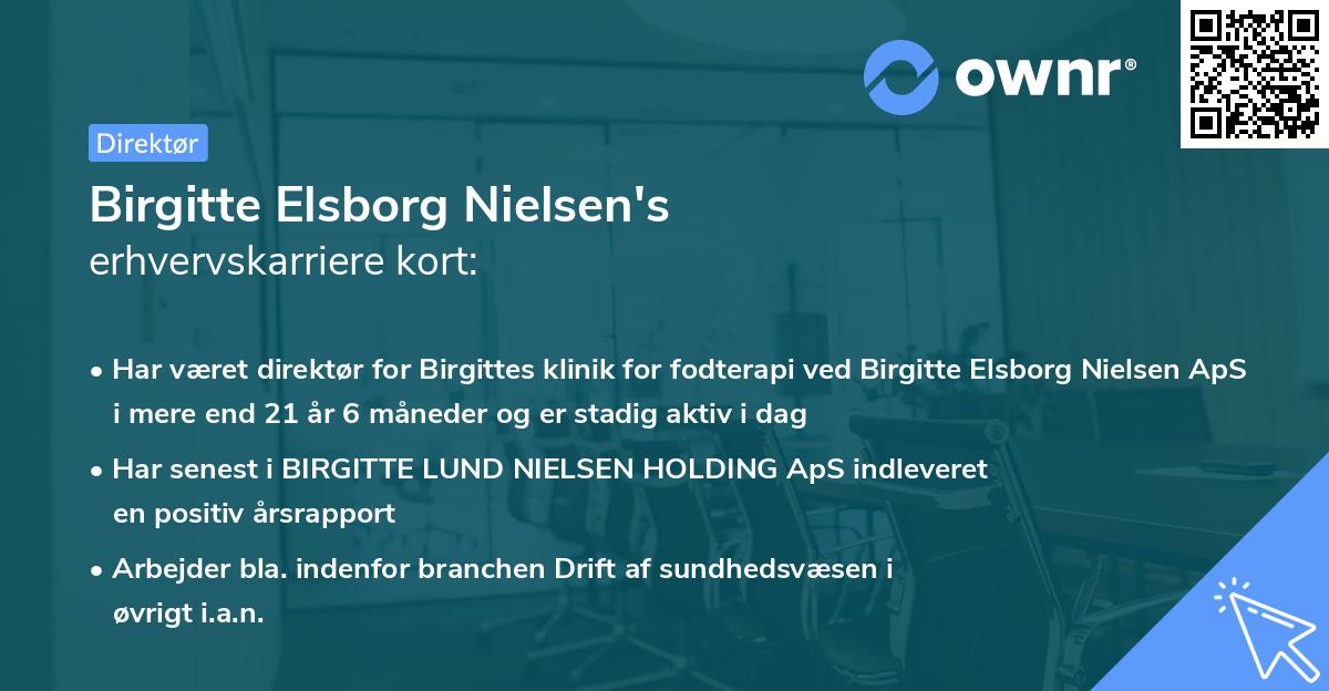 Birgitte Elsborg Nielsen's erhvervskarriere kort