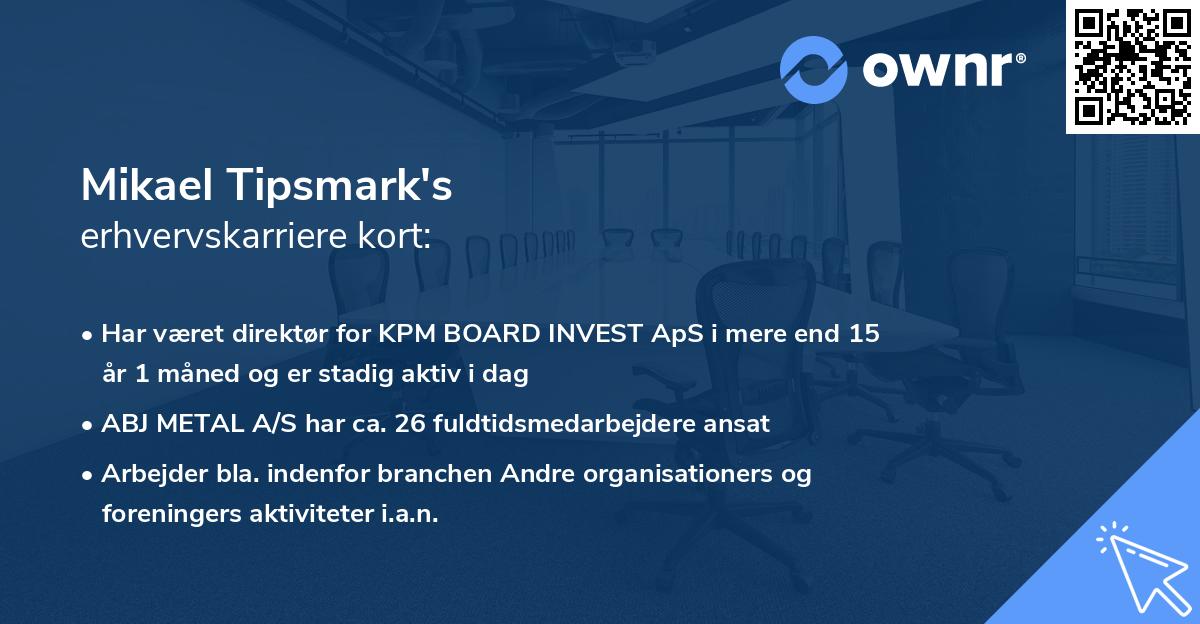 Mikael Tipsmark's erhvervskarriere kort