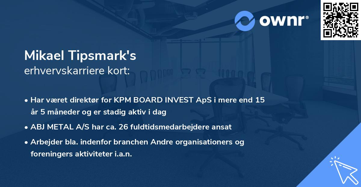 Mikael Tipsmark's erhvervskarriere kort