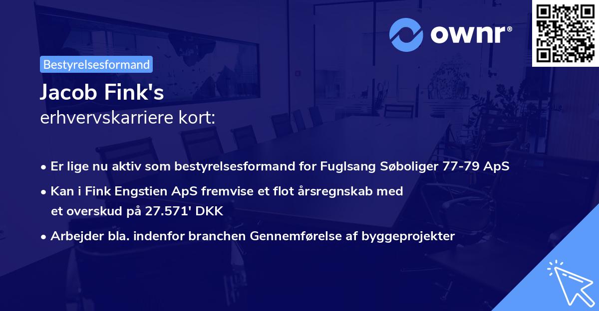 Jacob Fink's erhvervskarriere kort