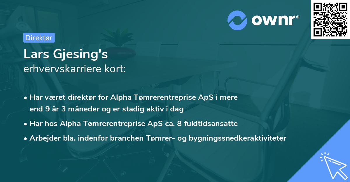 Lars Gjesing's erhvervskarriere kort