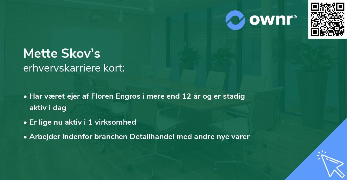 Mette Skov's erhvervskarriere kort