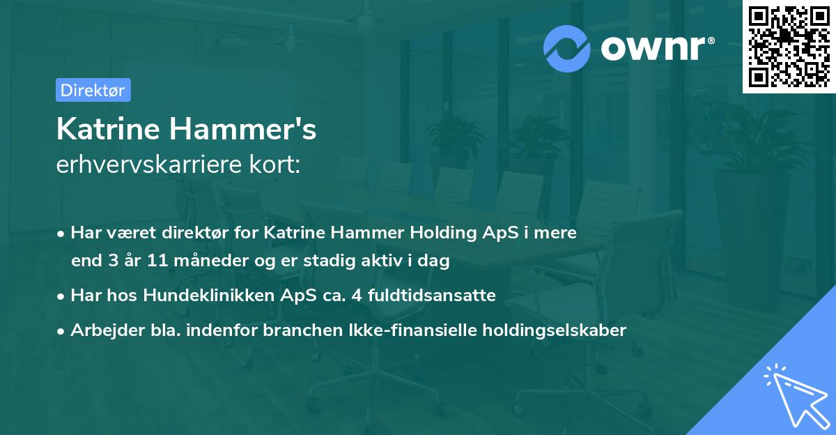 Katrine Hammer's erhvervskarriere kort